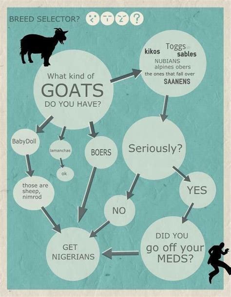 goat story common sense media